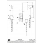 Bidet system Fixed temperature material: Brass, color: Chrome surface: Brushed Exposed bidet hand shower systems