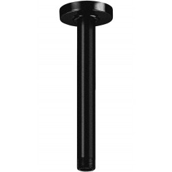 Arm 20cm Ceiling-mounted material: Brass, color: Black surface: Brushed