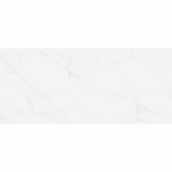Floor tiles 120x278 Italy, style: marble 1st choice rettificato surface: Glossy, hue: White/Grey Plain tiles