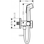 Bidet system Fixed temperature Ecosmart material: Brass, color: Dark Grey surface: Brushed Exposed bidet hand shower systems Bidet system Fixed temperature Ecosmart material: Brass, color: Dark Grey surface: Brushed Exposed bidet hand shower systems
