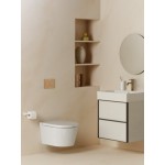 Flush wall plates for concealed cistern PS3 Actuation dual flush valve material: ABS, color: Pink Gold surface: Glossy Flush plates Flush wall plates for concealed cistern PS3 Actuation dual flush valve material: ABS, color: Pink Gold surface: Glossy Flush plates
