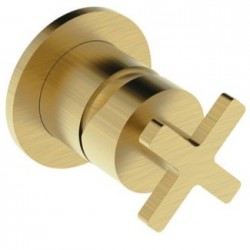 Shower tap Wall-mounted concealed - complete set 1 hole 1 way material: Brass mixer without hand shower, hose and holder, color: Gold surface: Brushed Wall-mounted - external part