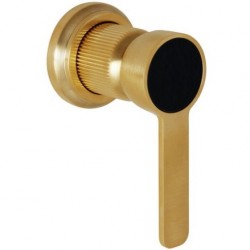 Shower tap Wall-mounted concealed - complete set 1 hole 1 way material: Brass mixer without hand shower, hose and holder, color: Gold surface: Brushed Wall-mounted - external part