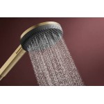 Shower head 3 jets, color: Bronze surface: Brushed Hand showers