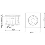 Shower (jet), color: Chrome material: Brass surface: Glossy Wall-mounted shower heads