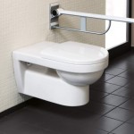 Special needs toilet high level Vita (2), color: White Special needs toilet high level Vita (2), color: White Accessible toilets