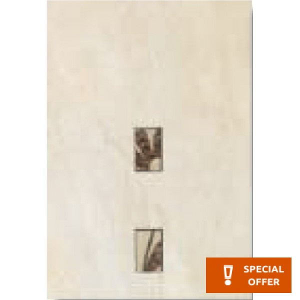 Decor tile 25x36,5 Spain 1st choice, hue: Beige Tile Liners (Listello)-Decore