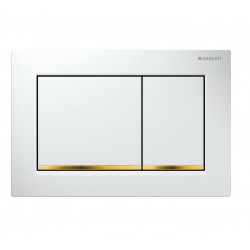 Flush wall plates for concealed cistern dual flush valve material: ABS Mechanical with string, color: White/Gold surface: Glossy Flush plates