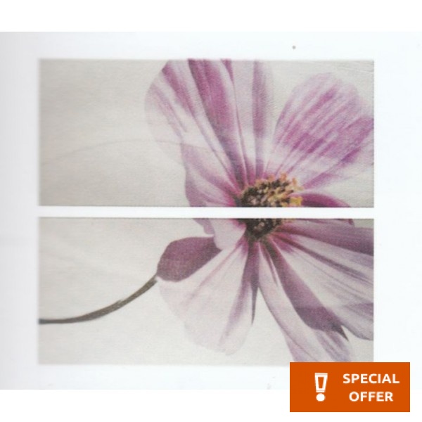 Decor tile 40x45,2 Spain 1st choice Fragranc., hue: Mix Tile Liners (Listello)-Decore