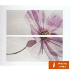 Decor tile 40x45,2 Spain 1st choice Fragranc., hue: Mix Tile Liners (Listello)-Decore