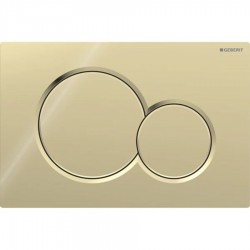 Flush wall plates for concealed cistern Brass Galvanized dual flush valve material: Brass Mechanical with string, color: Bronze surface: Glossy Flush plates