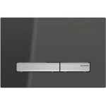 Flush wall plates for concealed cistern Smoked glass Actuation dual flush valve material: Crystal, color: Black surface: Glossy Flush plates