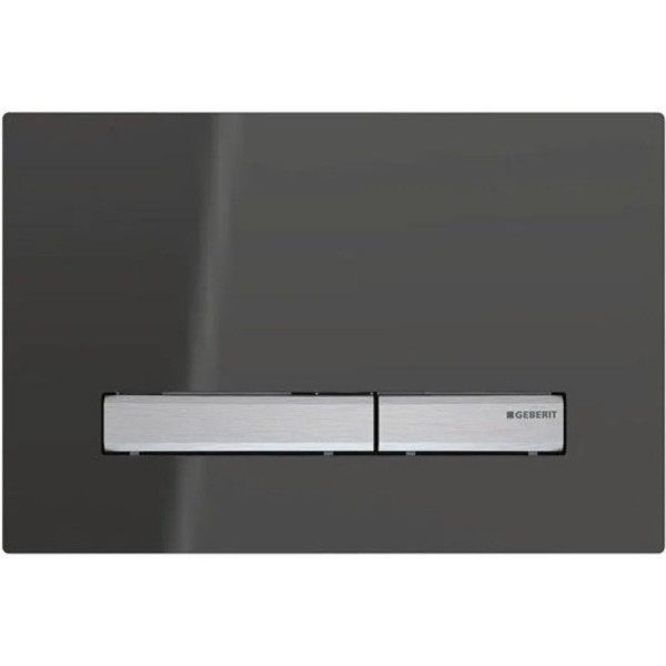 Flush wall plates for concealed cistern Smoked glass Actuation dual flush valve material: Crystal, color: Black surface: Glossy Flush plates