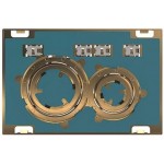 Flush wall plates for concealed cistern customisable surface Actuation dual flush valve material: Metal, color: No color surface: Matt