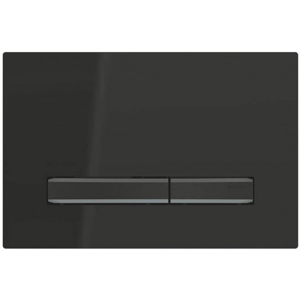 Flush wall plates for concealed cistern Actuation dual flush valve material: Crystal, color: Black surface: Glossy Flush wall plates for concealed cistern Actuation dual flush valve material: Crystal, color: Black surface: Glossy