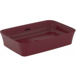 Washbasin Free standing 55x38x12 material: Porcelain With overflow Without hole Pomegranate, color: Purple surface: Matt Free standing