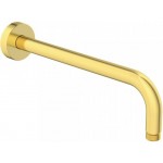 Βραχίονας 30cm Brushed Gold επίτοιχος τύπος από ορείχαλκο, χρώμα: Χρυσό επιφάνεια: Βουρτσισμένη Βραχίονες κεφαλής ντους Βραχίονας 30cm Brushed Gold επίτοιχος τύπος από ορείχαλκο, χρώμα: Χρυσό επιφάνεια: Βουρτσισμένη Βραχίονες κεφαλής ντους