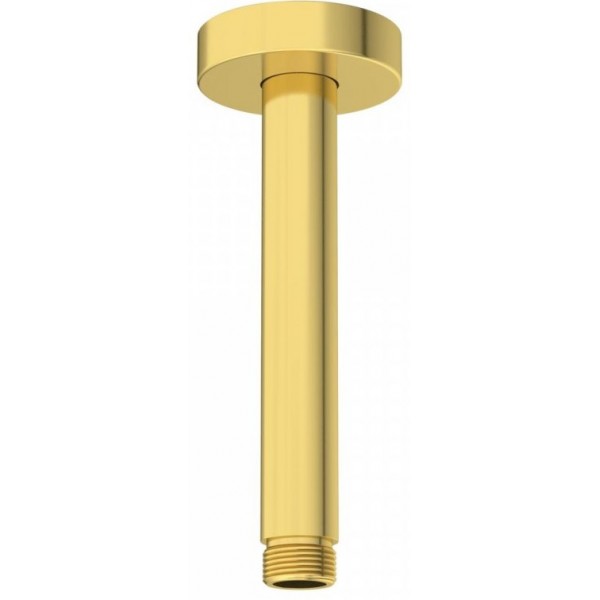 Βραχίονας 15cm Brushed Gold οροφής από ορείχαλκο, χρώμα: Χρυσό επιφάνεια: Βουρτσισμένη Βραχίονες κεφαλής ντους Βραχίονας 15cm Brushed Gold οροφής από ορείχαλκο, χρώμα: Χρυσό επιφάνεια: Βουρτσισμένη Βραχίονες κεφαλής ντους
