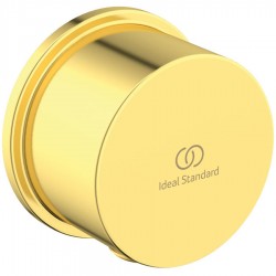 Παροχή Brushed Gold, χρώμα: Χρυσό επιφάνεια: Βουρτσισμένη