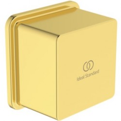 Παροχή Brushed Gold, χρώμα: Χρυσό επιφάνεια: Βουρτσισμένη Παροχές ντους