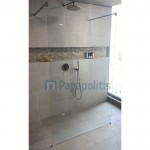 Καμπίνα ντουζιέρας ευθύγραμμη 120x200 8mm σταθερή E Series, κρύσταλλο επιφάνεια: Γυαλιστερή, χρώμα: Χρωμέ Ευθύγραμμες