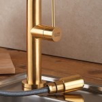 Μπαταρία κουζίνας επικαθήμενη από ορείχαλκο με ντους Brushed Gold, χρώμα: Χρυσό επιφάνεια: Βουρτσισμένη Επικαθήμενες