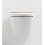 Wall-mounted toilet with shower & toilet seat, style: Wrapover smart toilet 59x38 surface: Matt, color: White Wall-mounted shower-toilets