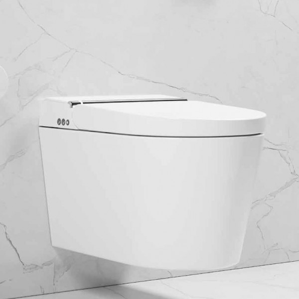 Wall-mounted toilet with shower & toilet seat, style: Wrapover smart toilet 59x38 surface: Matt, color: White Wall-mounted shower-toilets