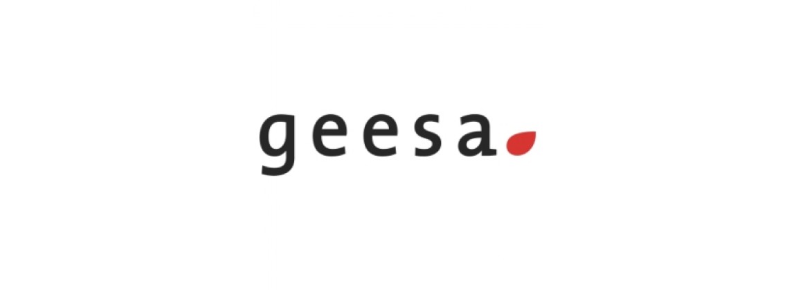 Geesa