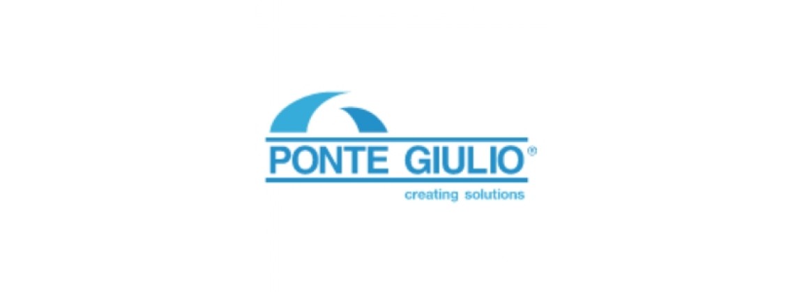 Ponte Giulio