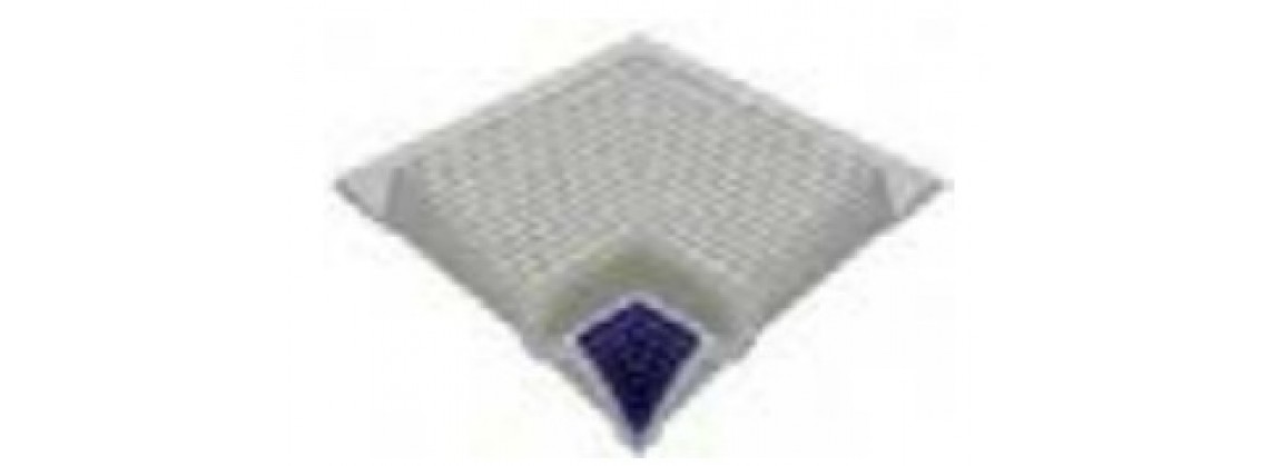 Bianco/Blue