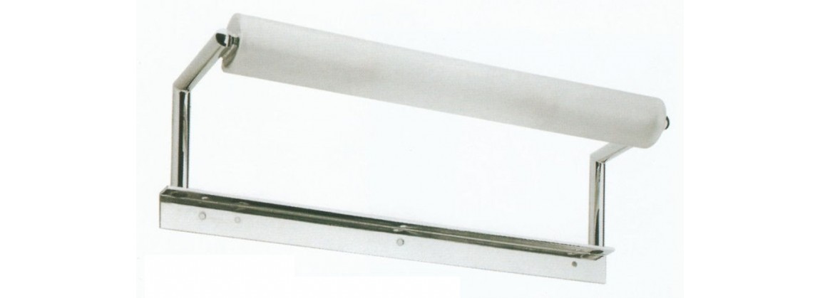 Cassiopea