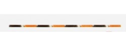 Wenge