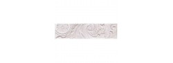 Acanthus