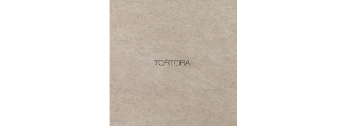 Tortora