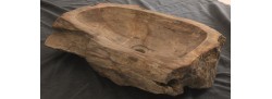 Fossil