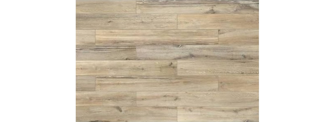 Planches de Rex