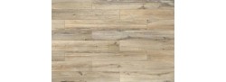 Planches de Rex