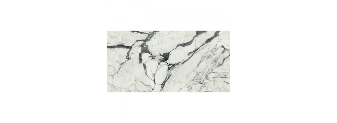 Calacatta altissimo blanc