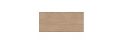 Plank_01