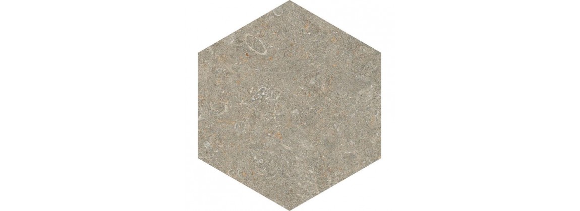 Fossil