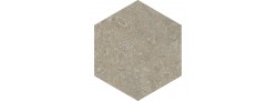 Fossil