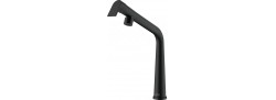 Icon Standard