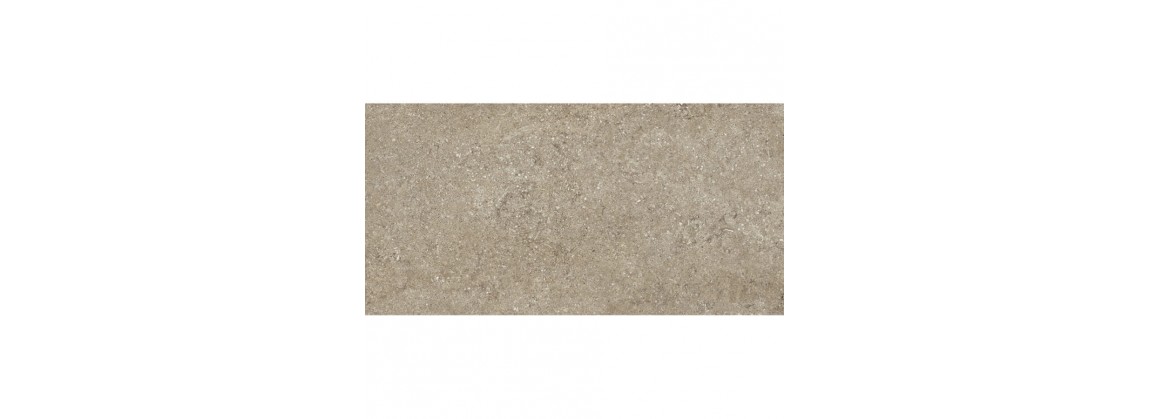 Fossil Taupe
