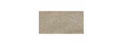 Fossil Taupe