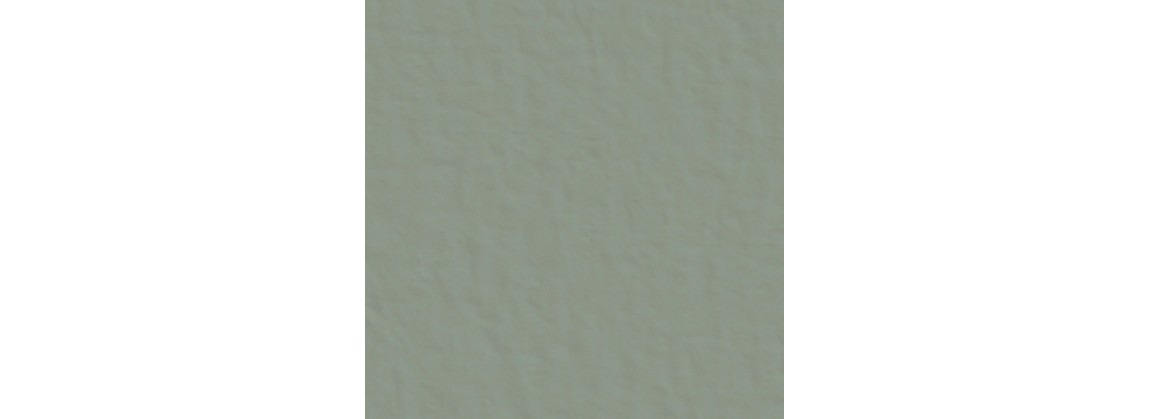 Oliva