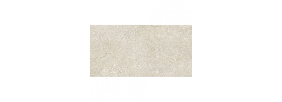 Stone Life
